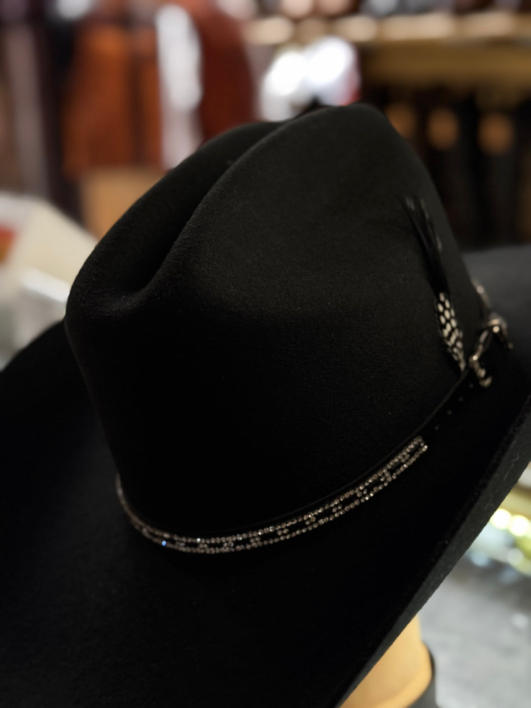 Stetson hat feather 🔥🔥🔥Pluma negra
