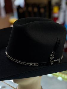 Stetson hat feather 🔥🔥🔥Pluma negra