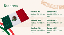 Load image into Gallery viewer, Mexico flag #14 original