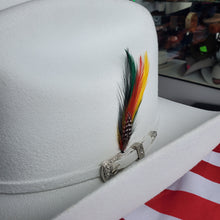 Load image into Gallery viewer, Stetson hat feather 🔥🔥🔥Pluma