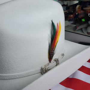 Stetson hat feather 🔥🔥🔥Pluma