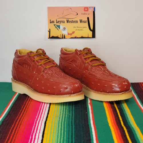 Zapato vaquero imitación coco/ave 🇲🇽