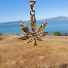 Load image into Gallery viewer, 18k plated gold chain and pendant mariguana