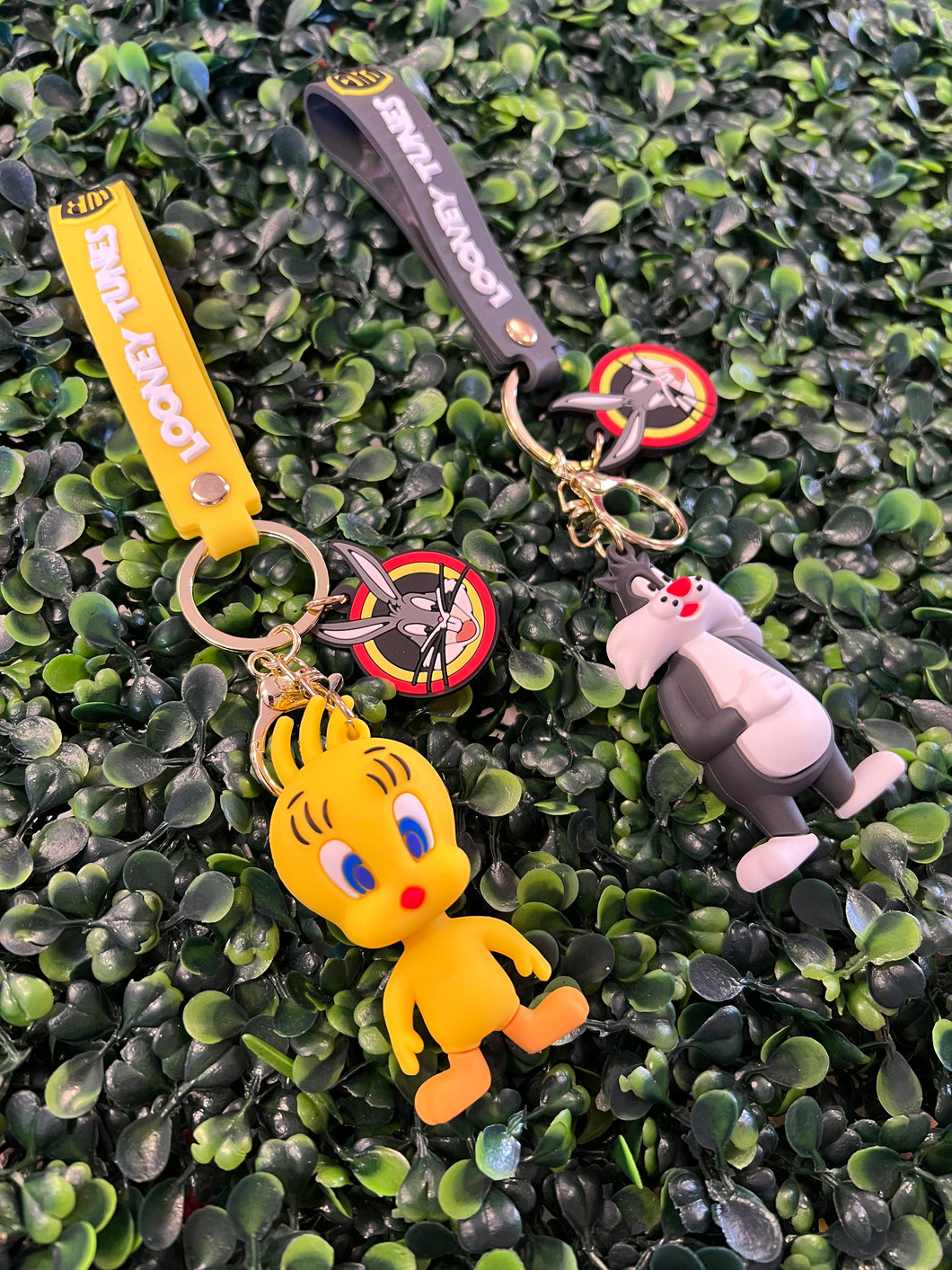 Piolin 💛silvestre Keychains